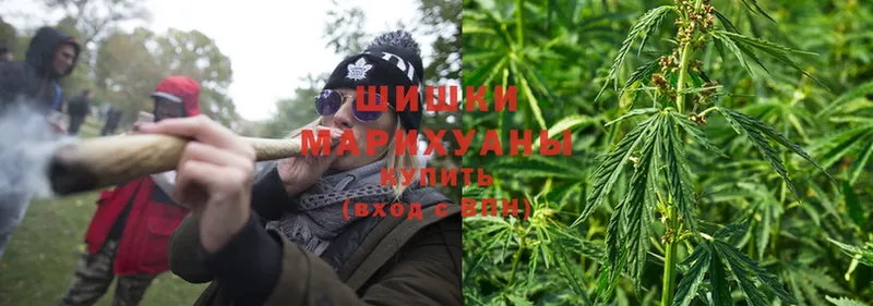 darknet Telegram  Кяхта  Марихуана White Widow 